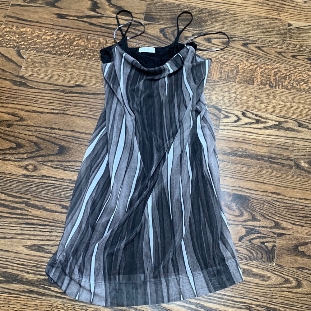 BCBG Slip Dress with Two Layers